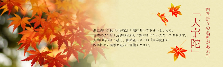 四季折々の名所がある町「大宇陀」